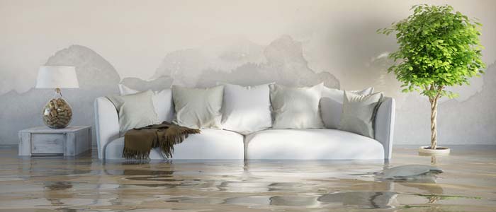 Homeowners insurance policy